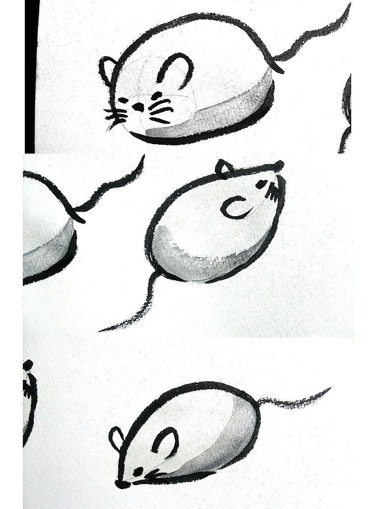 超簡単 動物絵描きが教えるかっこいい和風ネズミの描き方 生き物描き巡り
