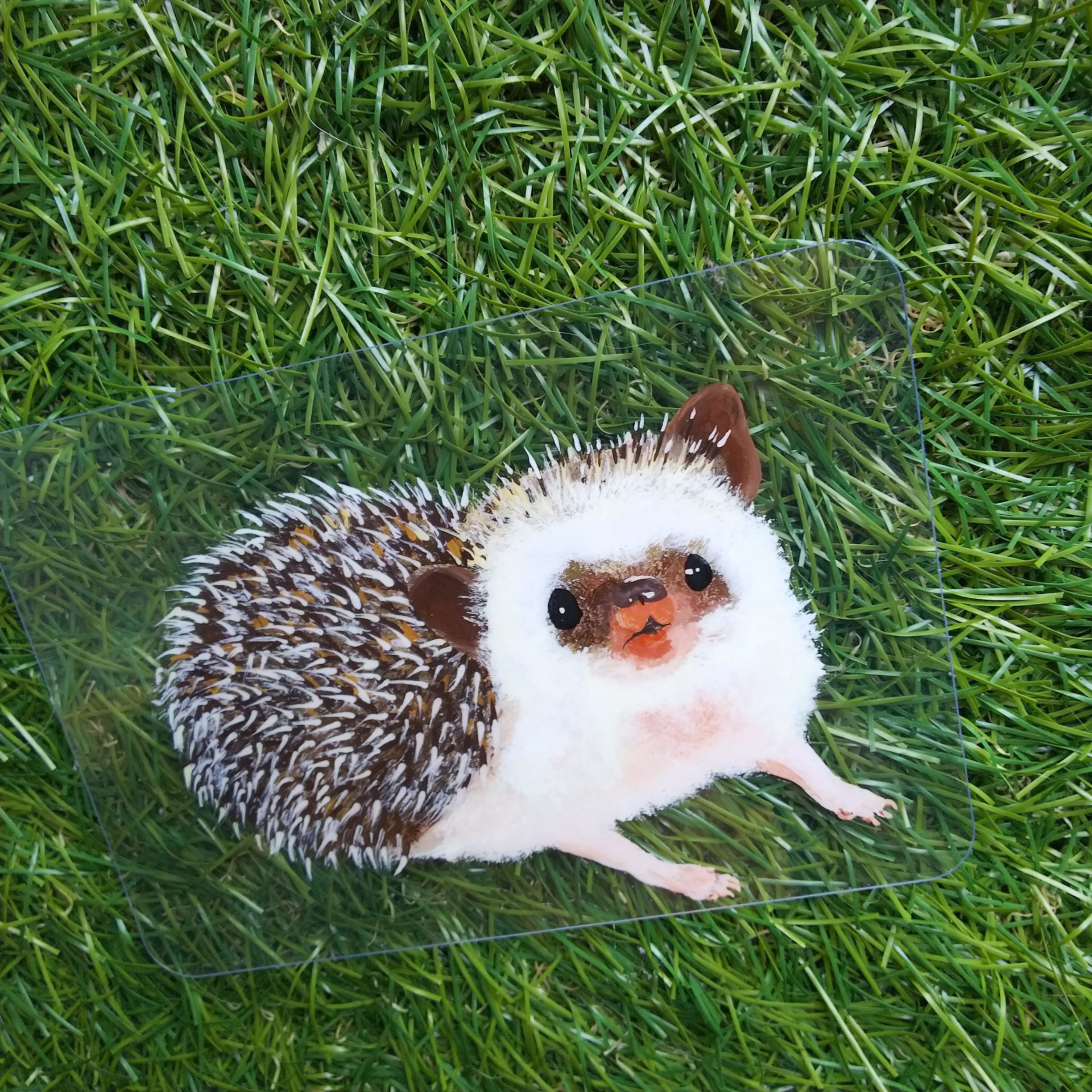 動物を描く a278ddf8c6b287de36c905fe9b02a2